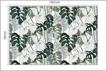 Fototapeta Liście Monstera - obrazek 3