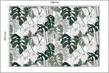 Fototapeta Liście Monstera - obrazek 3