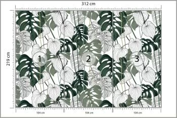 Fototapeta Liście Monstera - obrazek 3