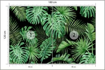 Fototapeta Liście Monstera - obrazek 3