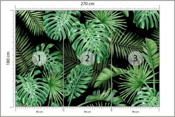 Fototapeta Liście Monstera - obrazek 3