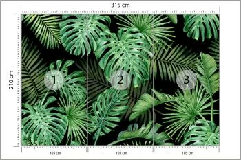 Fototapeta Liście Monstera - obrazek 3