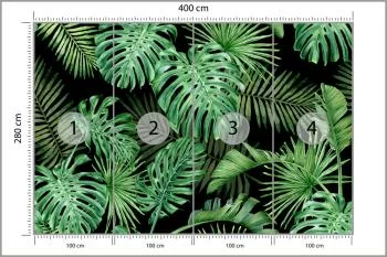 Fototapeta Liście Monstera - obrazek 3