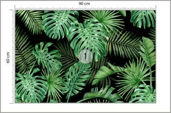 Fototapeta Liście Monstera - obrazek 3