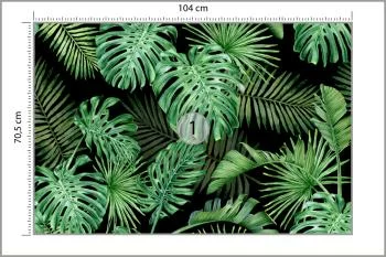 Fototapeta Liście Monstera - obrazek 3