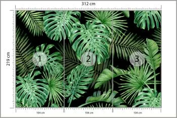 Fototapeta Liście Monstera - obrazek 3