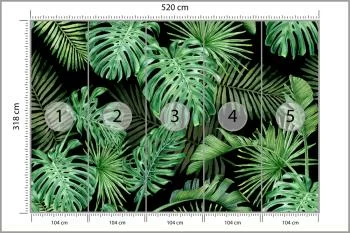 Fototapeta Liście Monstera - obrazek 3