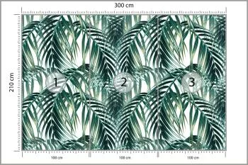 Fototapeta Liście Palmowe - obrazek 3