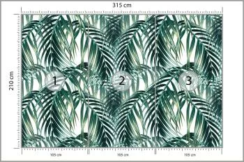 Fototapeta Liście Palmowe - obrazek 3