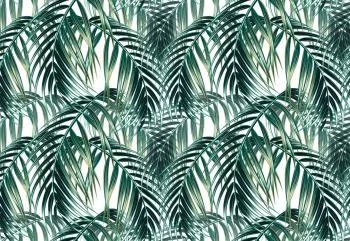 Fototapeta Liście Palmowe - obrazek 2