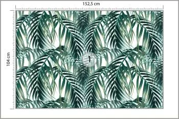 Fototapeta Liście Palmowe - obrazek 3