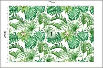 Fototapeta Liście Monstera - obrazek 3