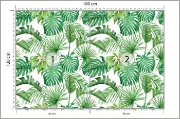 Fototapeta Liście Monstera - obrazek 3