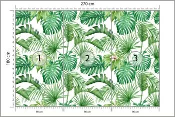 Fototapeta Liście Monstera - obrazek 3