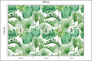 Fototapeta Liście Monstera - obrazek 3