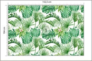 Fototapeta Liście Monstera - obrazek 3