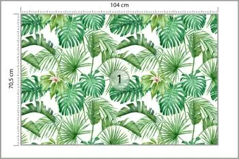 Fototapeta Liście Monstera - obrazek 3