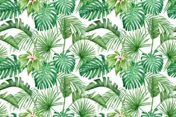 Fototapeta Liście Monstera - obrazek 2