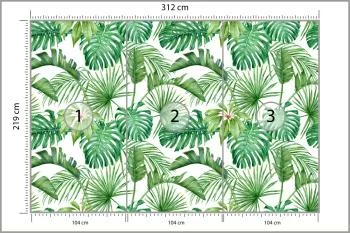 Fototapeta Liście Monstera - obrazek 3