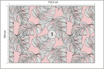 Fototapeta Liście Monstera - obrazek 3