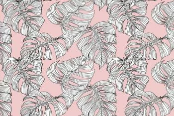 Fototapeta Liście Monstera - obrazek 2