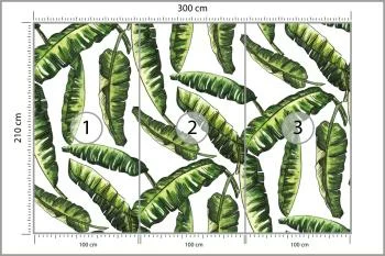 Fototapeta Liście Natura - obrazek 3