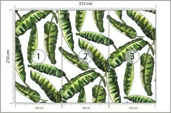 Fototapeta Liście Natura - obrazek 3