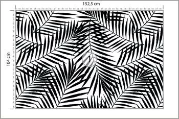 Fototapeta Liście Palmowe - obrazek 3