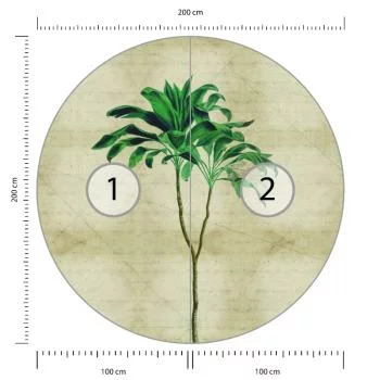 Fototapeta Okrągła Rośliny Tropikalne Iii - obrazek 3