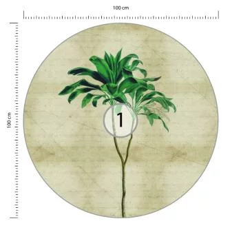 Fototapeta Okrągła Rośliny Tropikalne Iii - obrazek 3