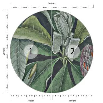 Fototapeta Okrągła Rycina Botaniczna W Stylu Vintage Vi - obrazek 3