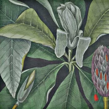 Fototapeta Okrągła Rycina Botaniczna W Stylu Vintage Vi - obrazek 2