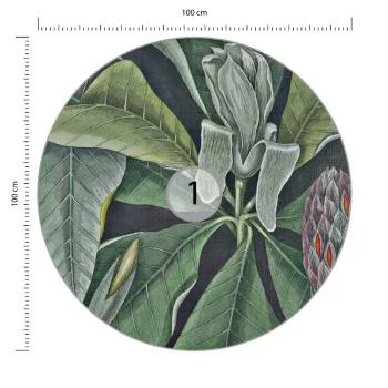 Fototapeta Okrągła Rycina Botaniczna W Stylu Vintage Vi - obrazek 3