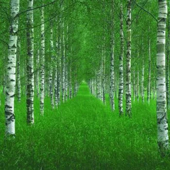 Fototapeta Okrągła Tunel Autorstwa Christiana Lindstena - obrazek 2