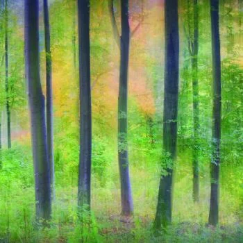 Fototapeta Okrągła Marzycielski Autorstwa Jochena Burgera - obrazek 2