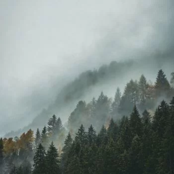 Fototapeta Okrągła Tocząca Się Mgła - obrazek 2
