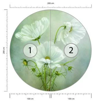 Fototapeta Okrągła Urok Kosmosu Autorstwa Mandy Disher - obrazek 3