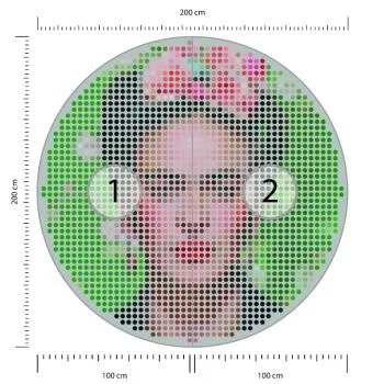 Fototapeta Okrągła Ikona Frida - obrazek 3