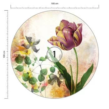 Fototapeta Okrągła Rycina Botaniczna W Stylu Vintage I - obrazek 3