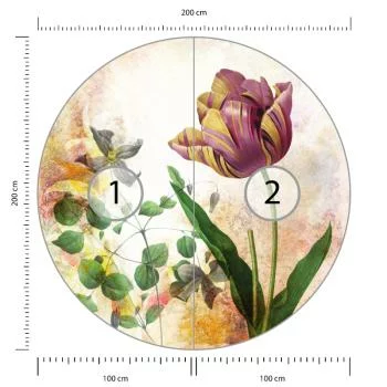 Fototapeta Okrągła Rycina Botaniczna W Stylu Vintage I - obrazek 3