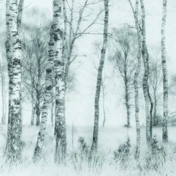 Fototapeta Okrągła Czarno-Biały Nel Talen - obrazek 2