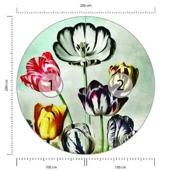 Fototapeta Okrągła Tulipany - obrazek 3