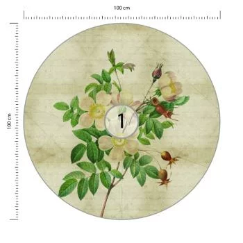 Fototapeta Okrągła Rycina Botaniczna W Stylu Vintage Ii - obrazek 3