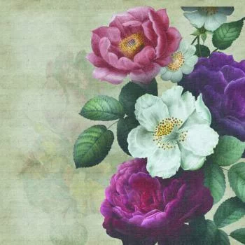 Fototapeta Okrągła Rycina Botaniczna W Stylu Vintage V - obrazek 2