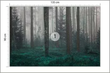 Fototapeta - Tajemniczy Las we Mgle - obrazek 3