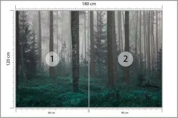 Fototapeta - Tajemniczy Las we Mgle - obrazek 3