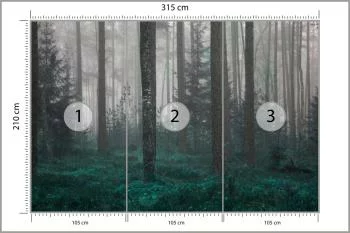 Fototapeta - Tajemniczy Las we Mgle - obrazek 3