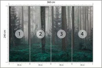 Fototapeta - Tajemniczy Las we Mgle - obrazek 3