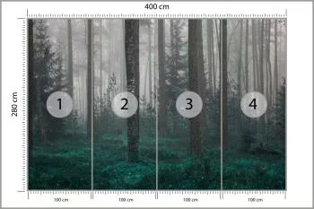 Fototapeta - Tajemniczy Las we Mgle - obrazek 3