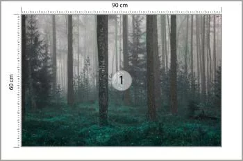 Fototapeta - Tajemniczy Las we Mgle - obrazek 3